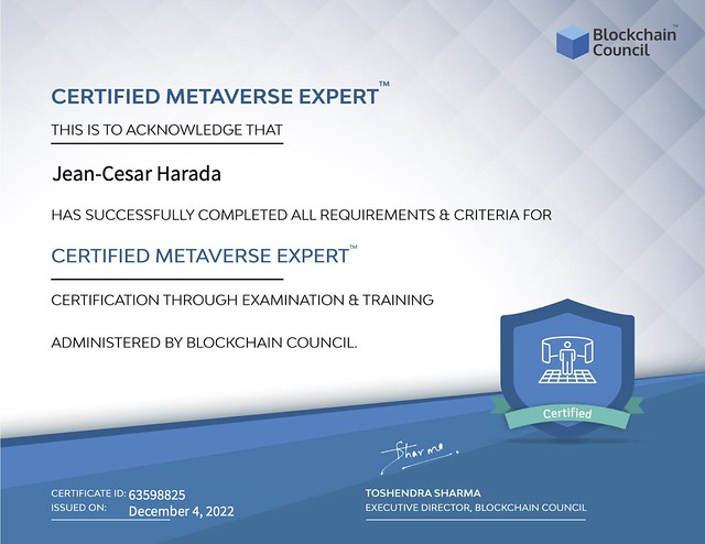 20221204 Metaverse Expert Blockchain Academy