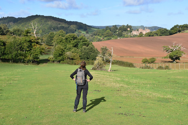Walking in Somerset and Devon, Dunster