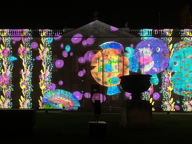 Son et Lumiere (The Carnival of the Animals) at the Senate House, Cambridge, 11th November 2022 (15)