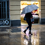 Rainy Day in Barcelona, November 28, 2022 (2/4)