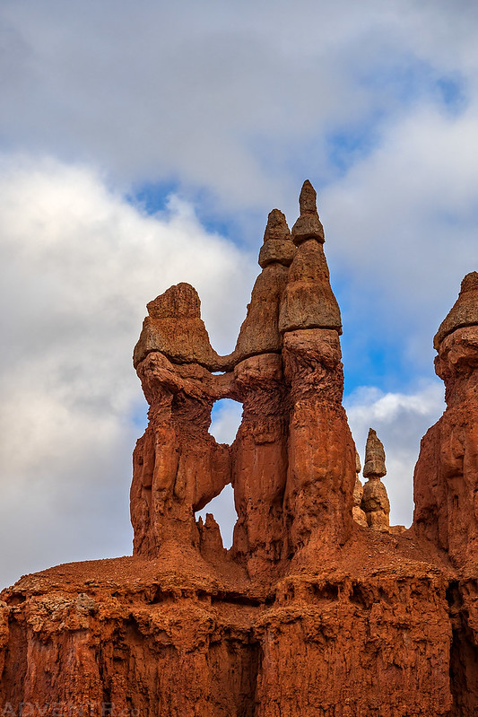 Castle Arches