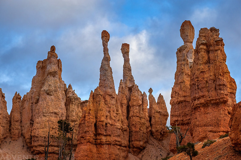 Slender Hoodoos