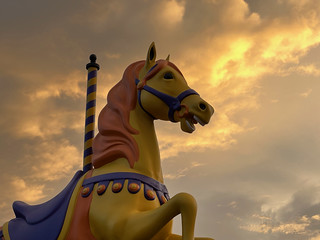 Yellow horse in sunset