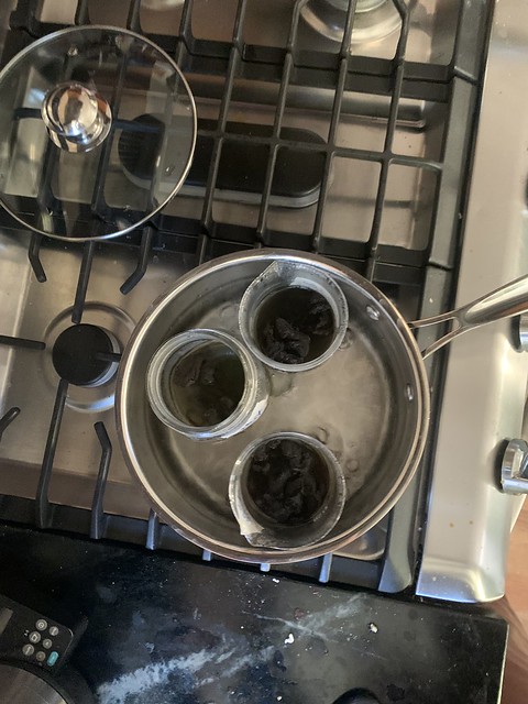 jars with dark liquid inside a pot of water