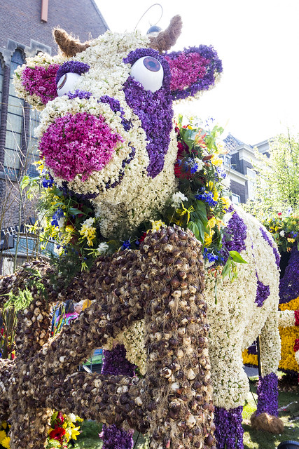 Netherlands - Haarlem - Bloemencorso flower parade