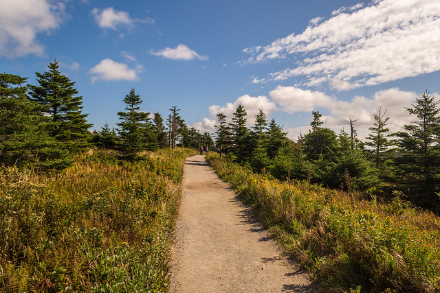 Skyline Trail, Cape Breton Highlands National Park, Cape Breton Island, Nova Scotia, Canada