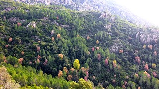 Sentier Peralzone-Cervi : vue  dans la descente du versant Sud