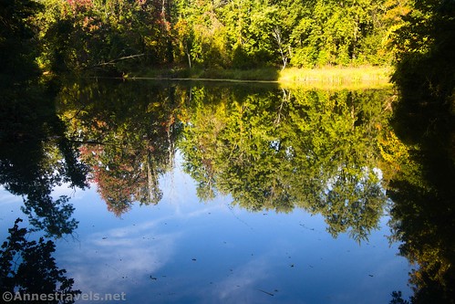 Reflections in Black Creek, Genesee Valley Greenway, Rochester, New York