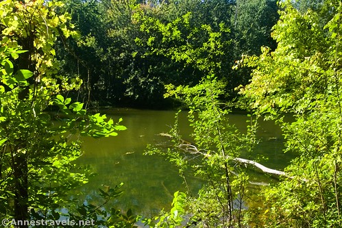 Views across Black Creek, Genesee Valley Greenway, Rochester, New York