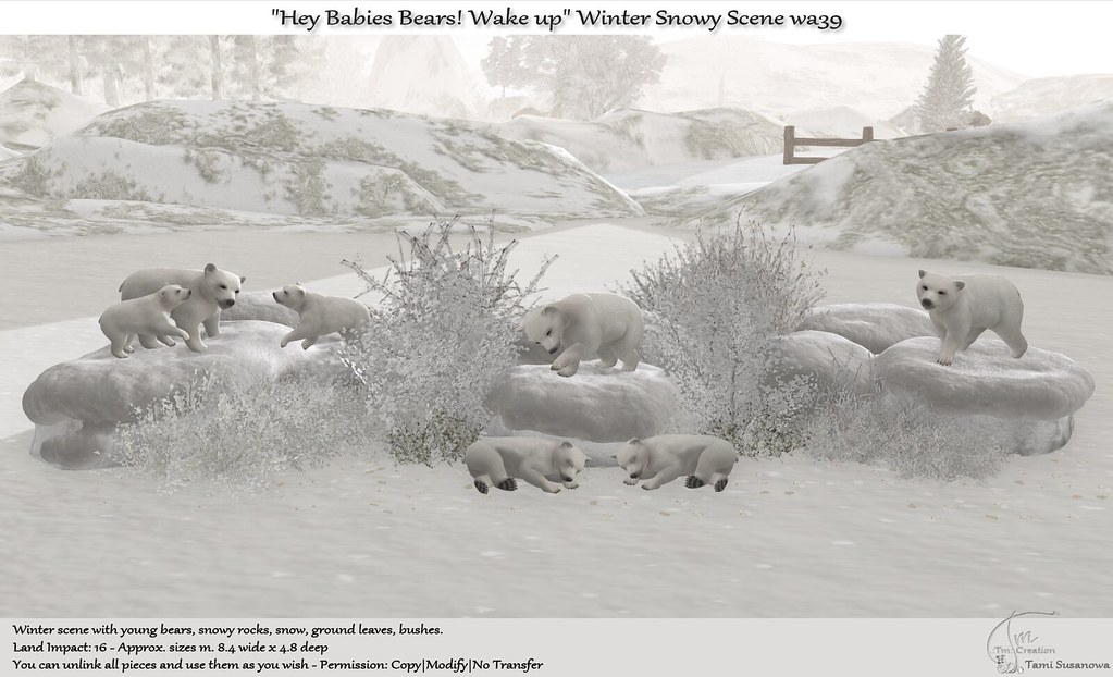 "Hey Babies Bears! Wake up" Winter Snowy Scene wa39