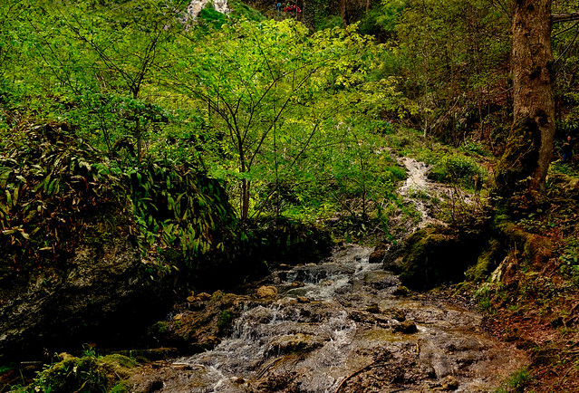 Germany, Bad Urach , Am Rande der Schwäb. Alb, Am Uracher Wasserfall, Brühlbach, 21287