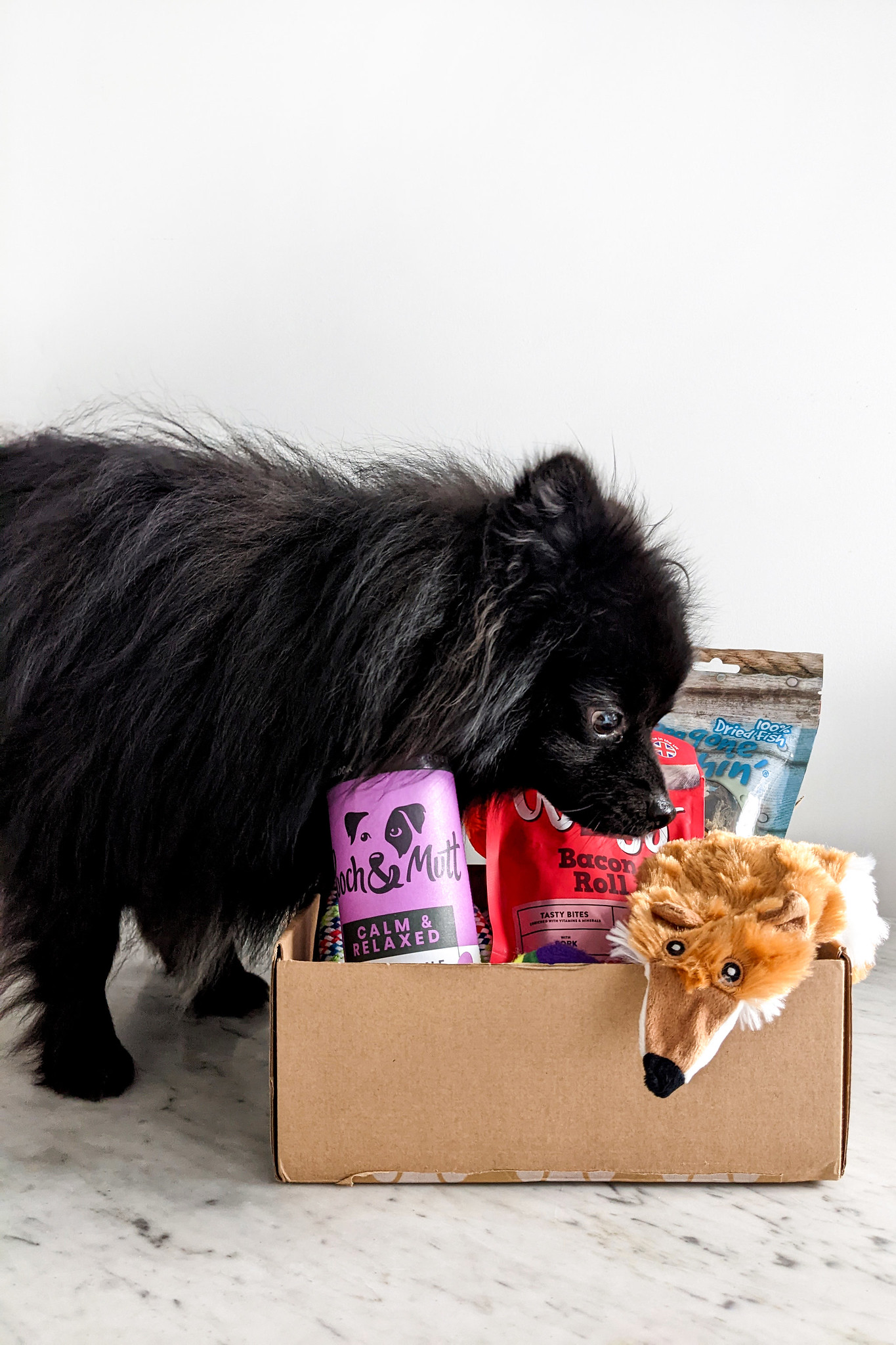 The Best Eco-Friendly Dog Gift Ideas