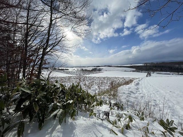 South view from Adagio Hokkaido