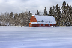 Red Barn In Winter