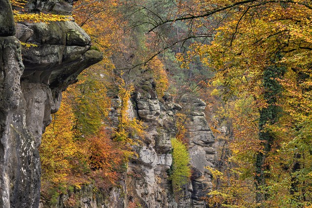 *Herbst in der Luxemburger Schweiz*