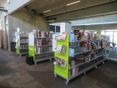 Shelves, Aranui Library