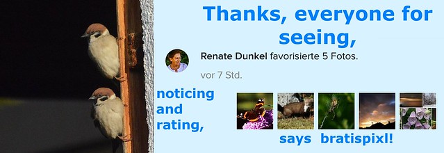 quickly commented Renate Dunkel