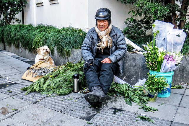 The flower seller and his dog