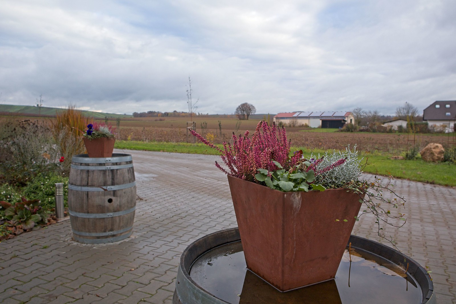 Dekopflanzen auf einem Weinfass im Paulinenhof - Nikolauslauf 2022