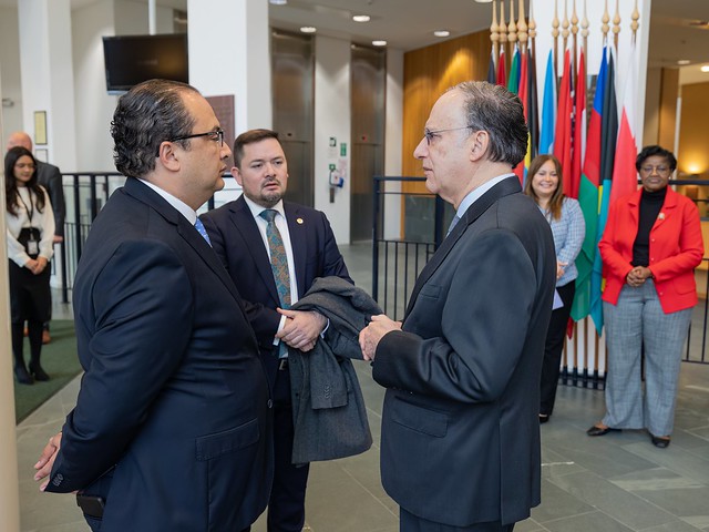 OPCW Director-General meeting with the Minister of Foreign Affairs of the Republic of Guatemala