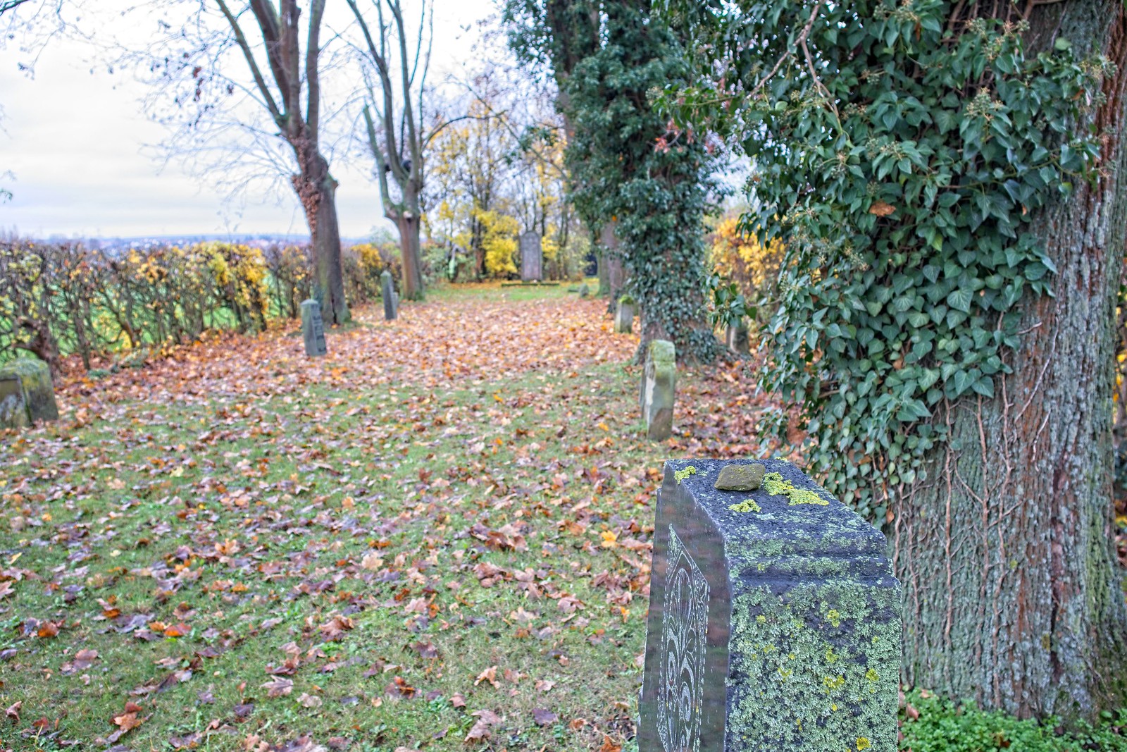 Jüdischer Friedhof Hahnheim Nikolauslauf 2022