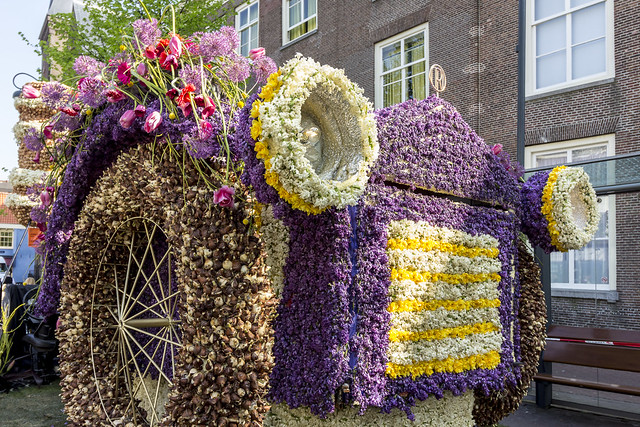 Netherlands - Haarlem - Bloemencorso Flower Parade