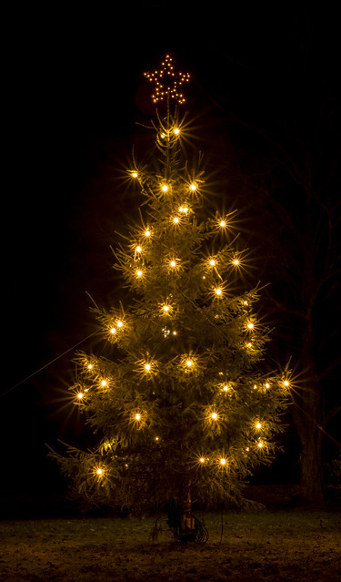 The Christmas tree in my village