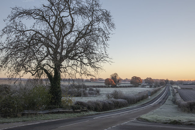 Frosty morning at Weyhill