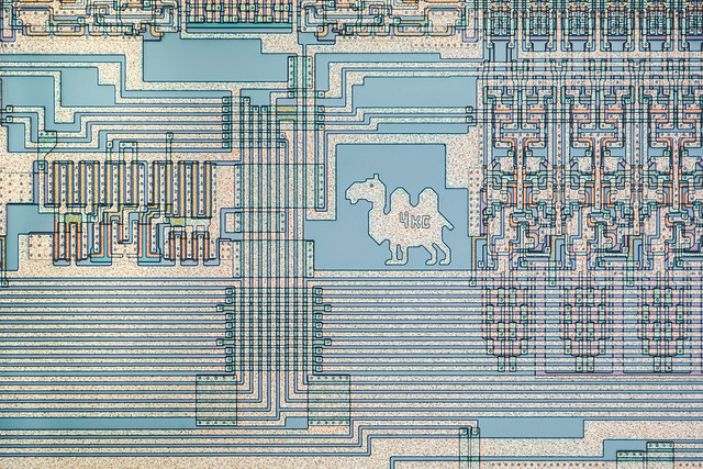 Fragment of the soviet silicon chip ОСМ537РУ6А (1989). Сamel figurine.