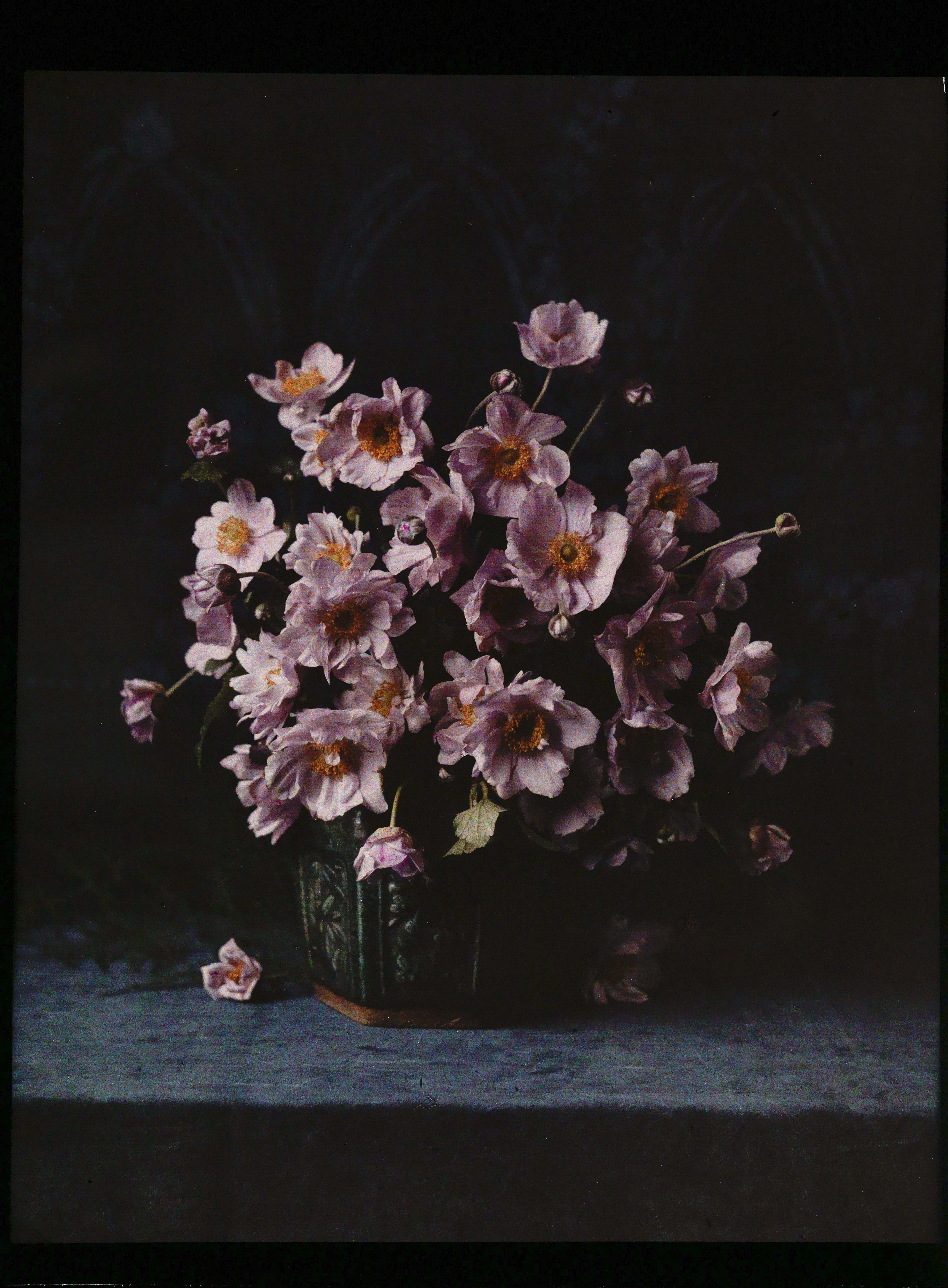 Vaas met anemonen, anonymous, ca. 1907 - ca. 1935 | src Rijksmuseum