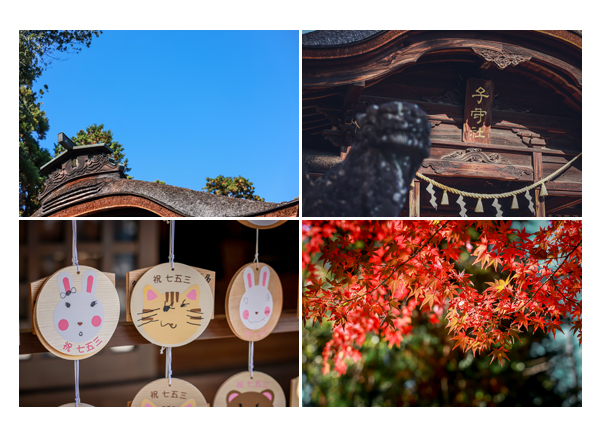 岐阜県可児市の子守神社で七五三　境内の風景