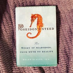 2022-12-08 New used #book for meu2014 Helen Scalesu2019 Poseidonu2019s Steed: the Story of #Seahorses From Myth to Reality #books #reading #boek