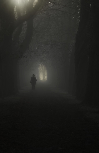 Morning run in the mist / Morgendlicher Lauf im Nebel