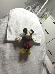 Mickey Mouse Day 101