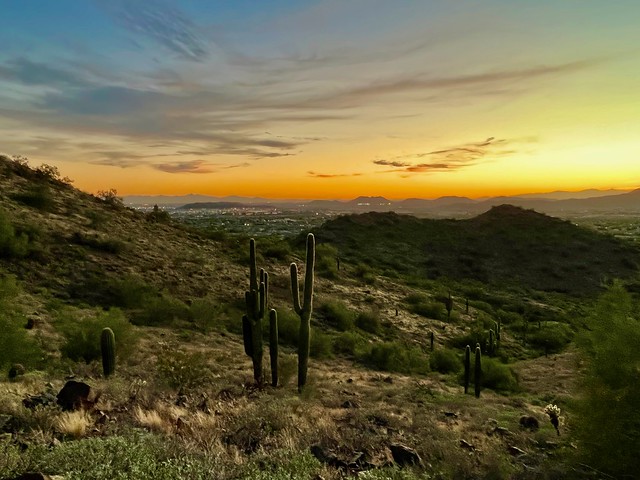 Phoenix Sonoran Preserve Sunset