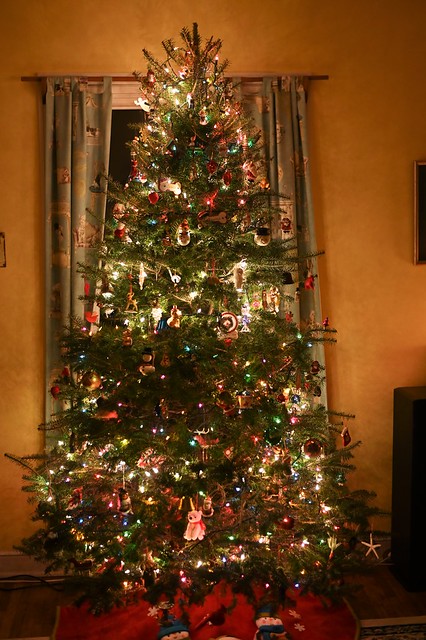 Dec. 8, 2022: Lit Xmas Tree