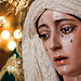 SEVILLA II Besamanos a María Santísima de la Purísima Concepción