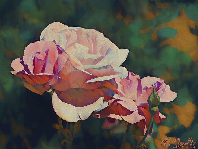 Soulis: Roses From Athens VI