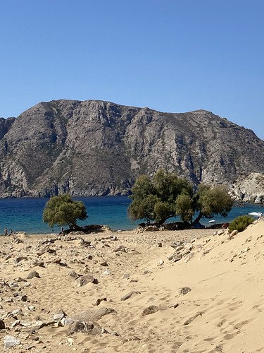 The beach at Psili Ammos (5)