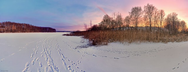 Footprints in the Snow on the Lake Iidesjärvi