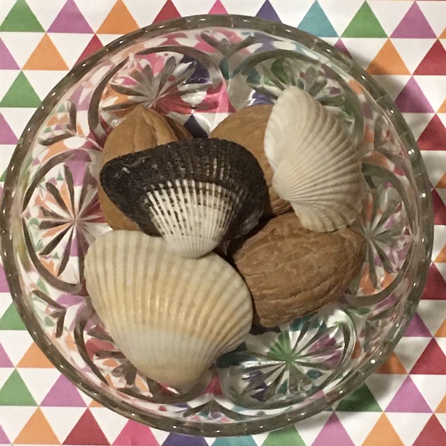 Seashells and Walnut Shells