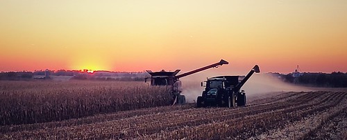 farmmachinery farm agriculture harvest corn combine tractor field sunset