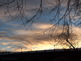 2022 11 29 - Morning silhouettes