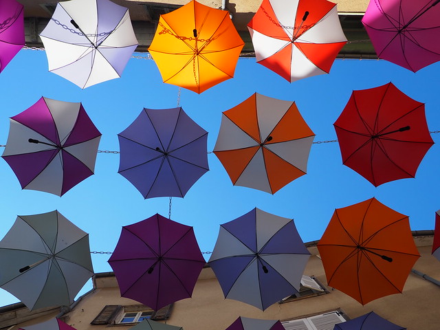 Festival de parapluies... sous un déluge de ciel bleu !
