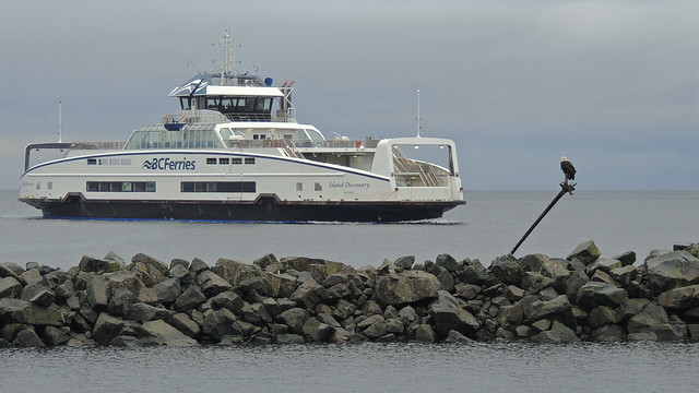 Ferry and eagle