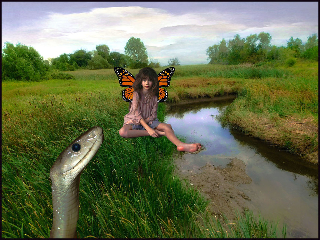 Serpent and butterfly