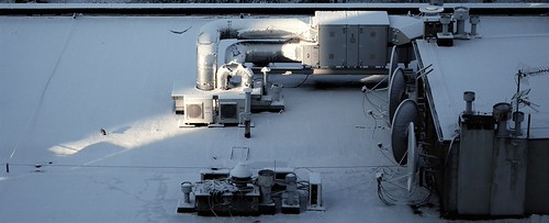 rooftop resident | by j.okuniewski