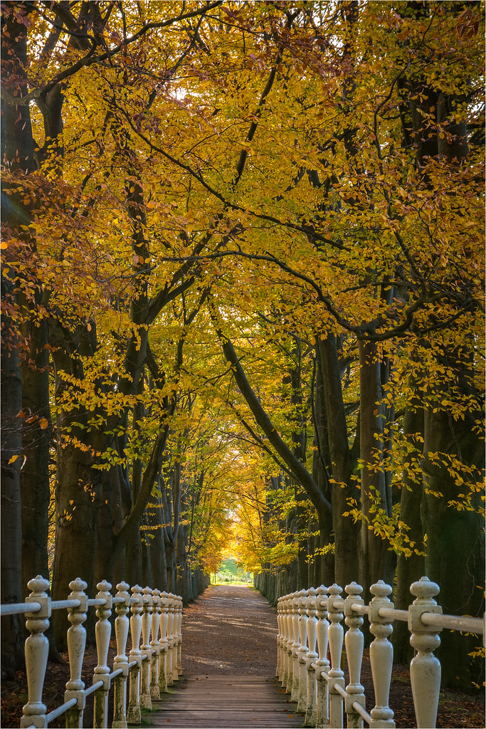 Bridge to autumncolours