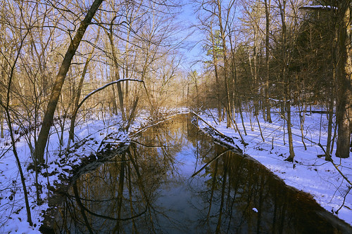 creek reflections trees woods wetlands winter vanishingpoint