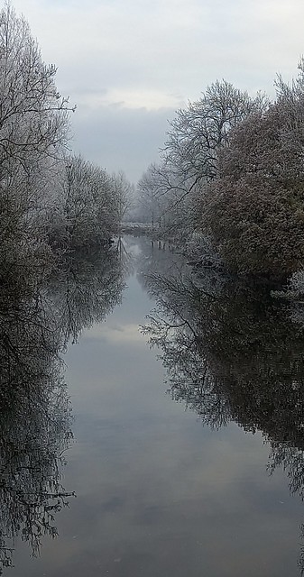 Mirrored Winter Reflections